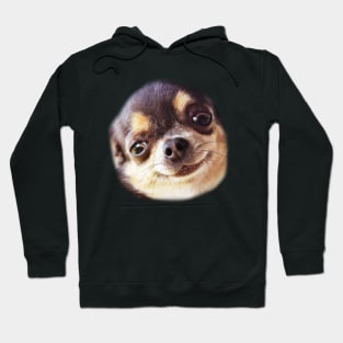 little dog Hoodie